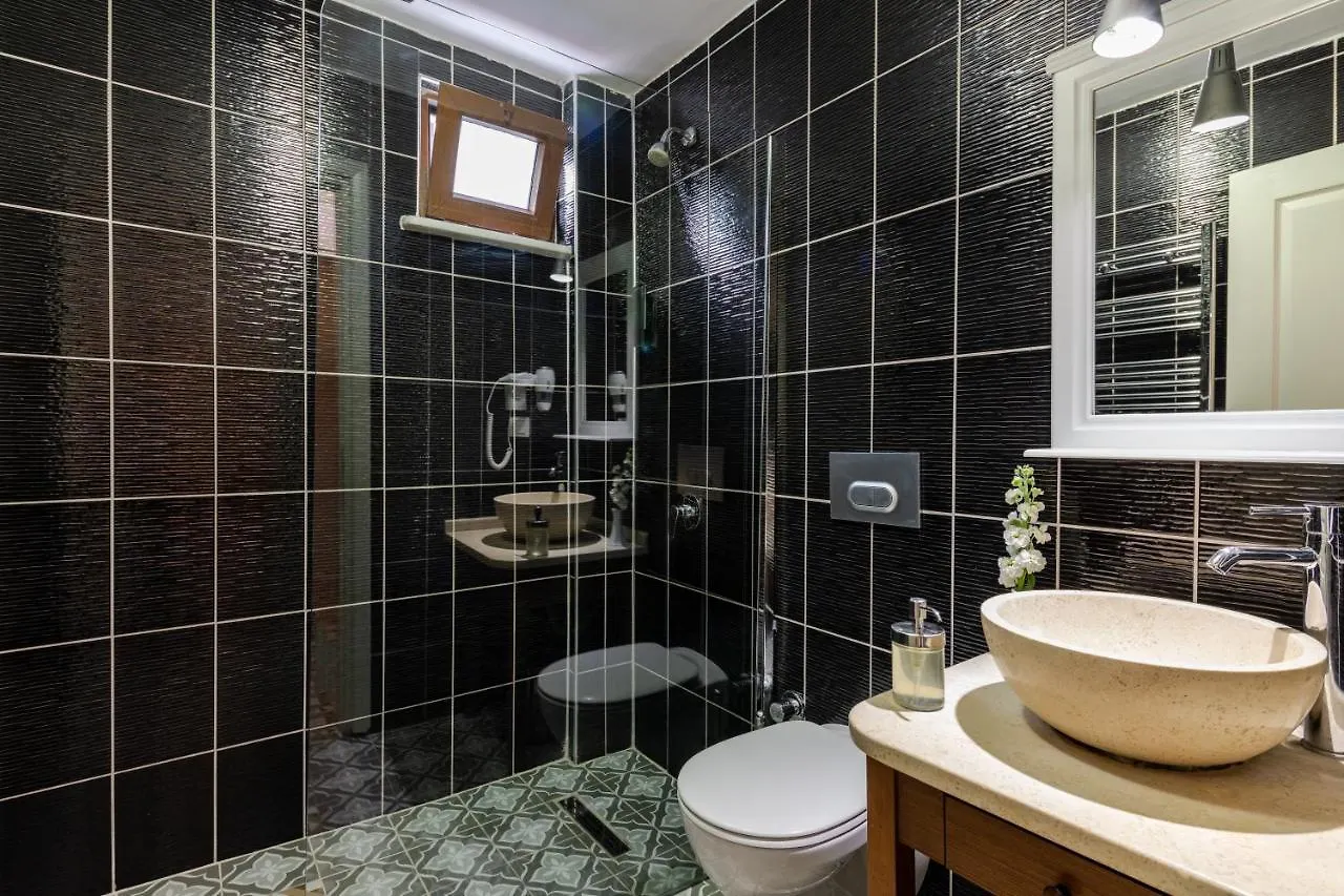 Agora Guesthouse Κωνσταντινούπολη 3*,  Τουρκία